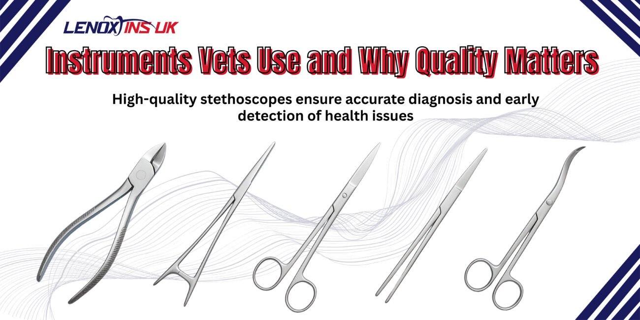 Veterinarian treating pet dental problems with instruments