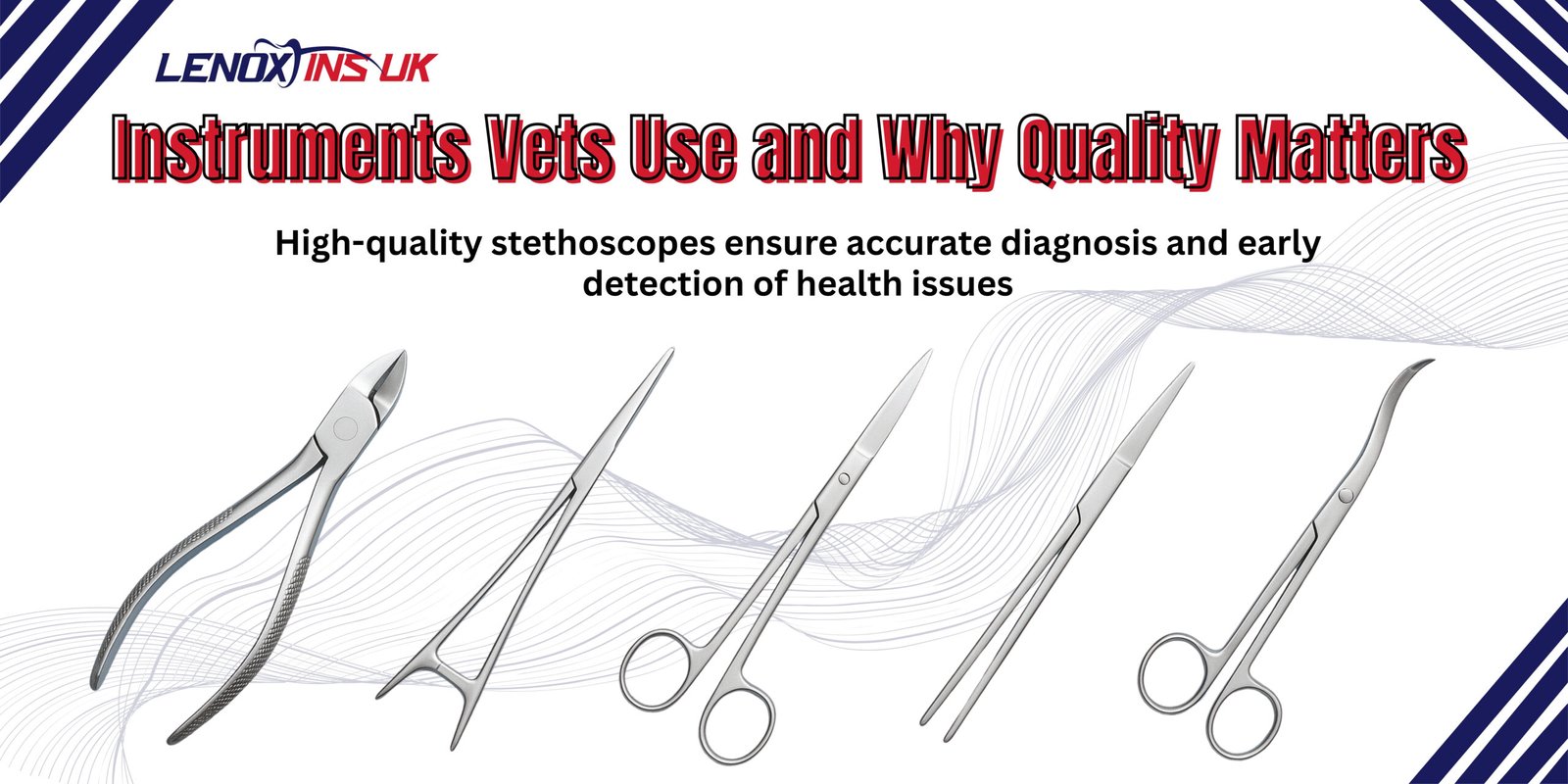 Veterinarian treating pet dental problems with instruments