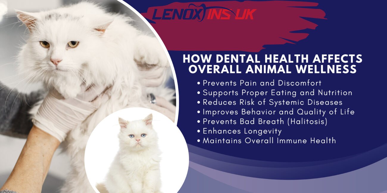 The Crucial Role of Veterinary Dental Health in Animal Care