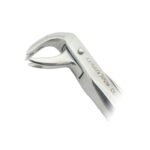 Extracting Forcep Fig 169 - Image 2