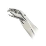 Extracting Forcep Fig 169 - Image 3